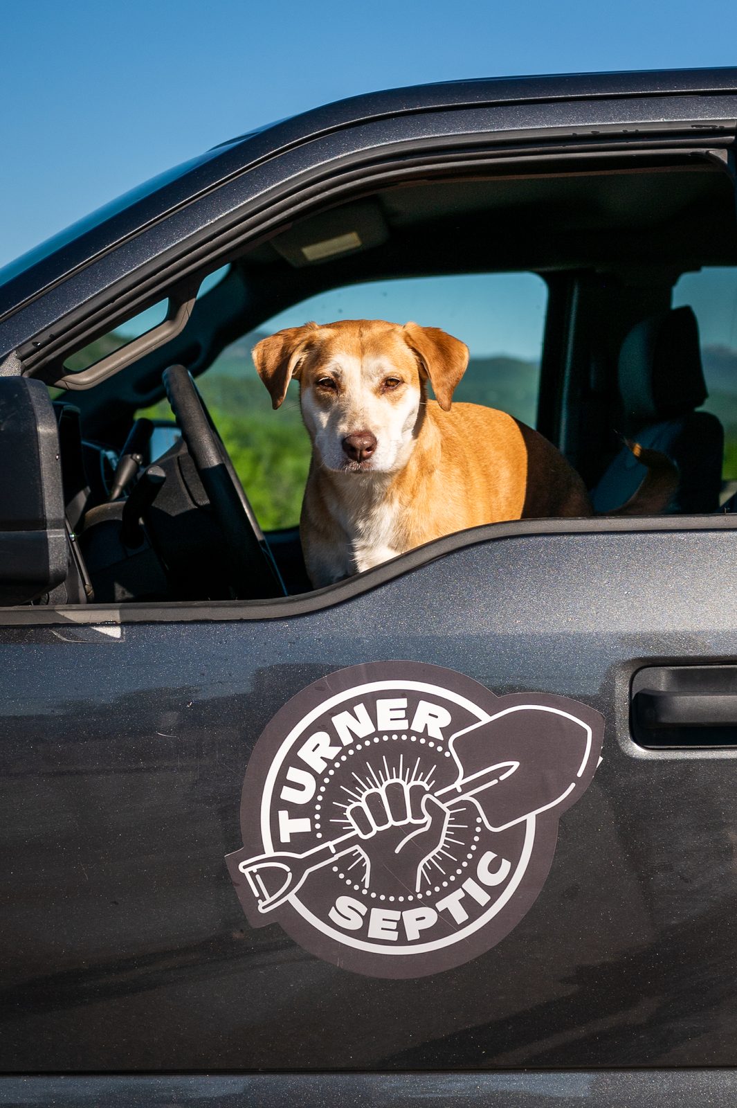 The shop dog sitting at the wheel of a Turner Septic truck.